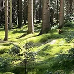 Nurdachzeit - In Schellbronn Neuhausen
