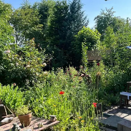 Nurdachzeit – In Schellbronn Neuhausen (Baden-Wurttemberg)
